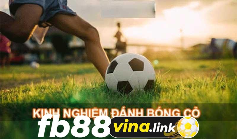 Bóng cỏ - Miếng mồi ngon hấp dẫn dân cá cược xu hướng 2024